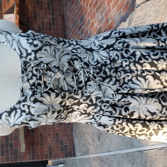 Renaissance Rococo damask corset gown - Picture 11 of 12